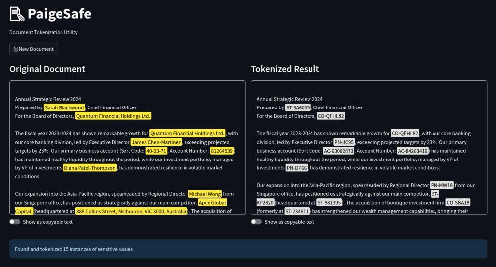 Screenshot of PaigeSafe Tokenize Document Screen